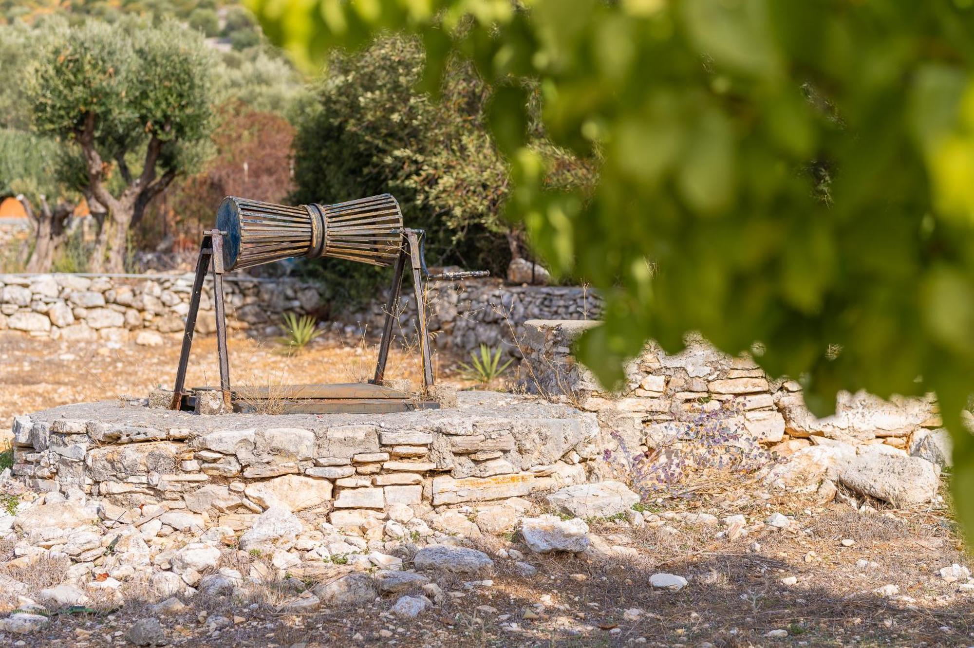 Ether Farmhouse Chora  Exterior photo